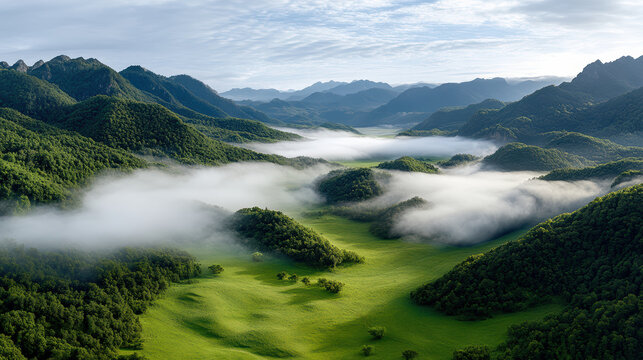 misty valley with rolling hills and lush greenery creates serene landscape