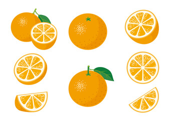 オレンジイラスト　アイコンセット　バラエティー