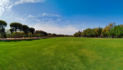Naklejka premium Vast green field under a bright sunny sky, lined with lush trees.