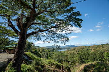 Scenic countryside landscape featuring a large tree in the foreground with sprawling branches, a thatched-roof hut, and lush green vegetation. Rolling hills, a peaceful lake.