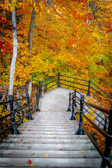Naklejka premium path in autumn park