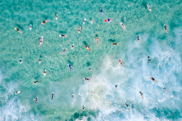 Aerial view of surfers paddling out in the ocean, Sydney, Australia