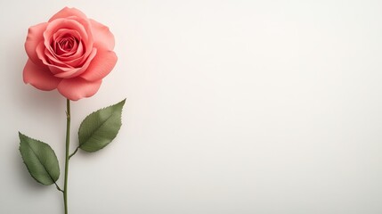 Fototapeta premium Elegant pink rose with green leaves on a soft cream background