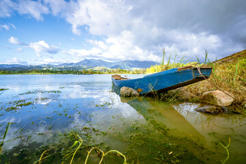 Peaceful lakeside scene with a small blue wooden boat resting near the shore surrounded by tall green grass. 
