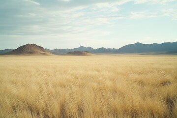 Golden grass plains with distant mountain range under cloudy sky