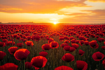 Obraz premium A breathtaking field of vibrant red poppy flowers bathed in the golden light of a setting sun, with the sky painted in hues of orange and pink, creating a serene and peaceful atmosphere.
