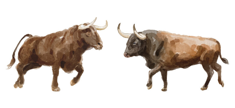 Watercolor set of bull for logo, invitations and more