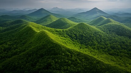 Obraz premium Lush Green Mountain Range Shaped Like Waves Under Soft Light in a Tranquil Landscape