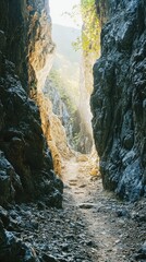 Serene Rocky Path Through Majestic Canyon Surrounded by Nature