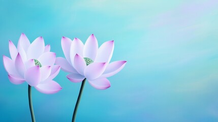 Elegant Pastel Lotus Blossoms on Soft Blue - Pastel pink lotus flowers in bloom against a soft blue background. Symbolizing serenity, purity, enlightenment, rebirth, and peace.