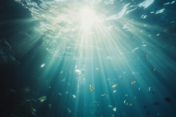 Underwater sunbeams illuminate colorful fish and particles.