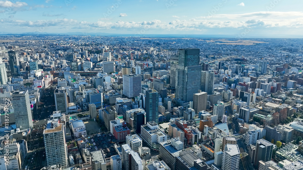 Canvas Prints city, urban, landscape, scenery, town, aerial view, society, prospect, drone, business, economy, era, real estate, bird eye view, high-angle, panorama, horizon, seen from above, looking down, blue sky