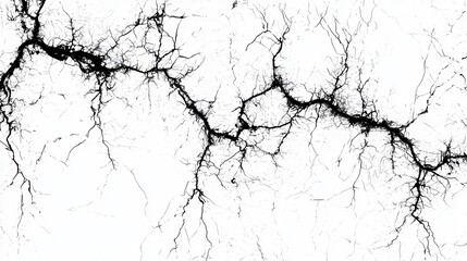 Obraz premium Intricate Cracked Earth Patterns