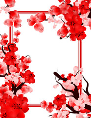 Red flowers frame on transparent background, Cherry blossom border decoration.