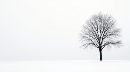 Solitary Bare Tree on Snowy Landscape Under Soft Gray Sky in Winter Serenity and Peaceful Atmosphere