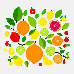 Fruits set web. Fruits set new. Fruits set www. Vector Illustration