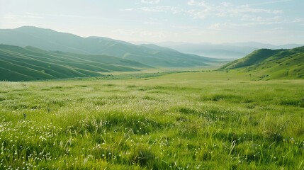 Fototapeta premium Immerse in the Grandeur: Grassland Natural Background Pictures