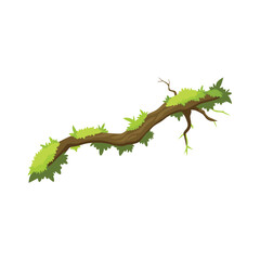  Moss covered tree branch isolated flat vector illustration on white background