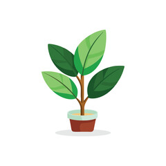 Rubber plant isolated flat vector illustration on white background