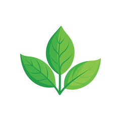 Green leaves isolated flat vector illustration on white background.