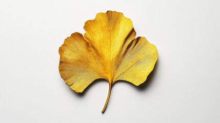 Fototapeta premium Golden ginkgo leaf on white background showcasing autumn nature aesthetics