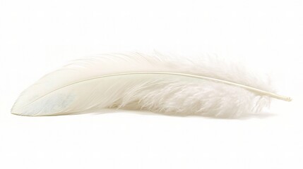 Obraz premium Simple White Feather Isolated on White Background for Stock Use