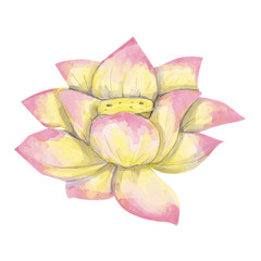Obraz premium Watercolor Textured Lotus Flower Head Yellow and Pink, Vibrant Textured Illustration for Print, Web and Textile