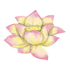 Watercolor Textured Lotus Flower Head Yellow and Pink, Vibrant Textured Illustration for Print, Web and Textile