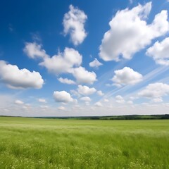 Serene Green Field Under a Blue Sky with Fluffy Clouds