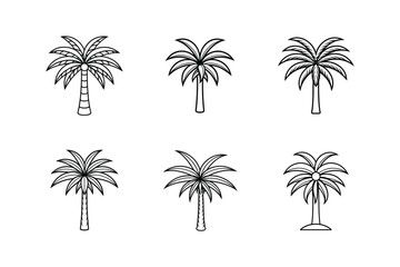 Fototapeta premium stylized date palm icon vector line art 