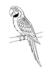 colouring_book_parrot.eps