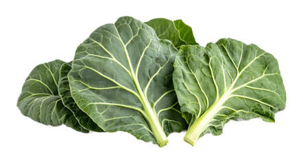 collard greens isolated on white background 