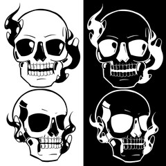 Skull head illustration 