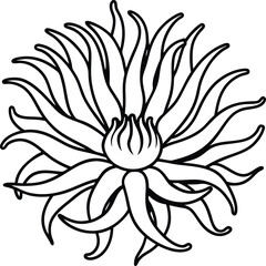 Intricate Sea Anemone Illustration Perfect for Coloring Pages