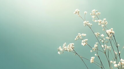 Delicate White Flowers Against A Soft Green Sky