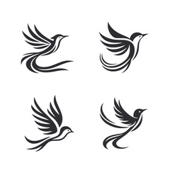 Four birds flying in the sky