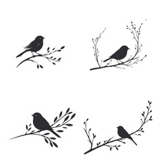 Four silhouettes of birds sitting on branches