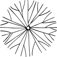 Obraz premium hand drawn cartoon top view of tree illustration.