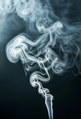 Abstract Smoke Swirls: Delicate tendrils of white smoke dance against a dark background, creating an ethereal and captivating abstract pattern.  