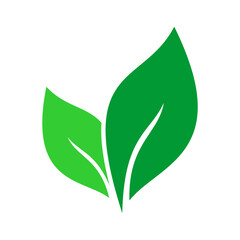 Flat style design illustration of two green leaves
