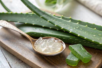 Aloe vera with freshly extracted gel in a spoon