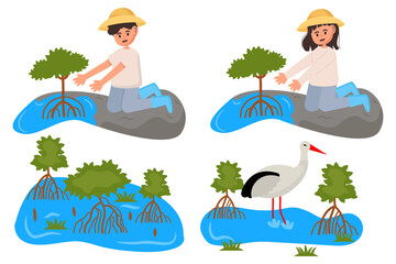 Planting mangrove trees in a mangrove forest and the surrounding ecosystem. isolated on a white background, vector illustration