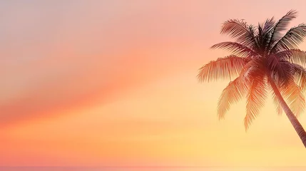 Tropical sunset beach palm tree silhouette  idyllic ocean view  vacation postcard background