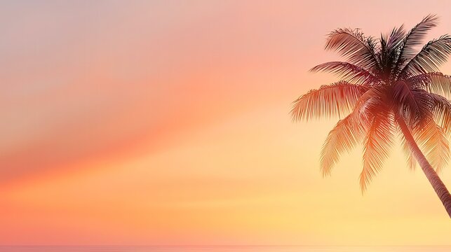 Tropical sunset beach palm tree silhouette; idyllic ocean view; vacation postcard background