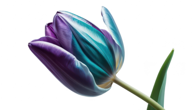 A futuristic, geometric abstraction of a tulip, with clean, angular lines in shades of teal, purple, and silver