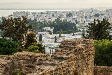 Le site archéologique de Carthage