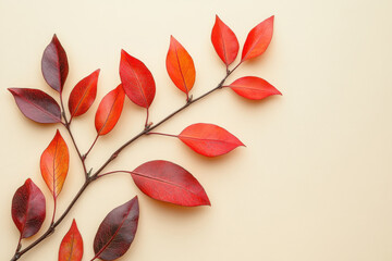 Obraz premium Vibrant red and orange leaves on a slender branch against a light background showcasing autumn colors and seasonal beauty