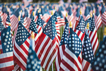 Memorial Field of American Flags Representing Patriotism and National Unity