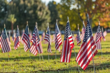 Field Filled with United States Flags in Tribute to National Holiday