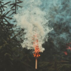 Burning Torch  Smoke  Fire  Forest  Nature  Atmospheric Image